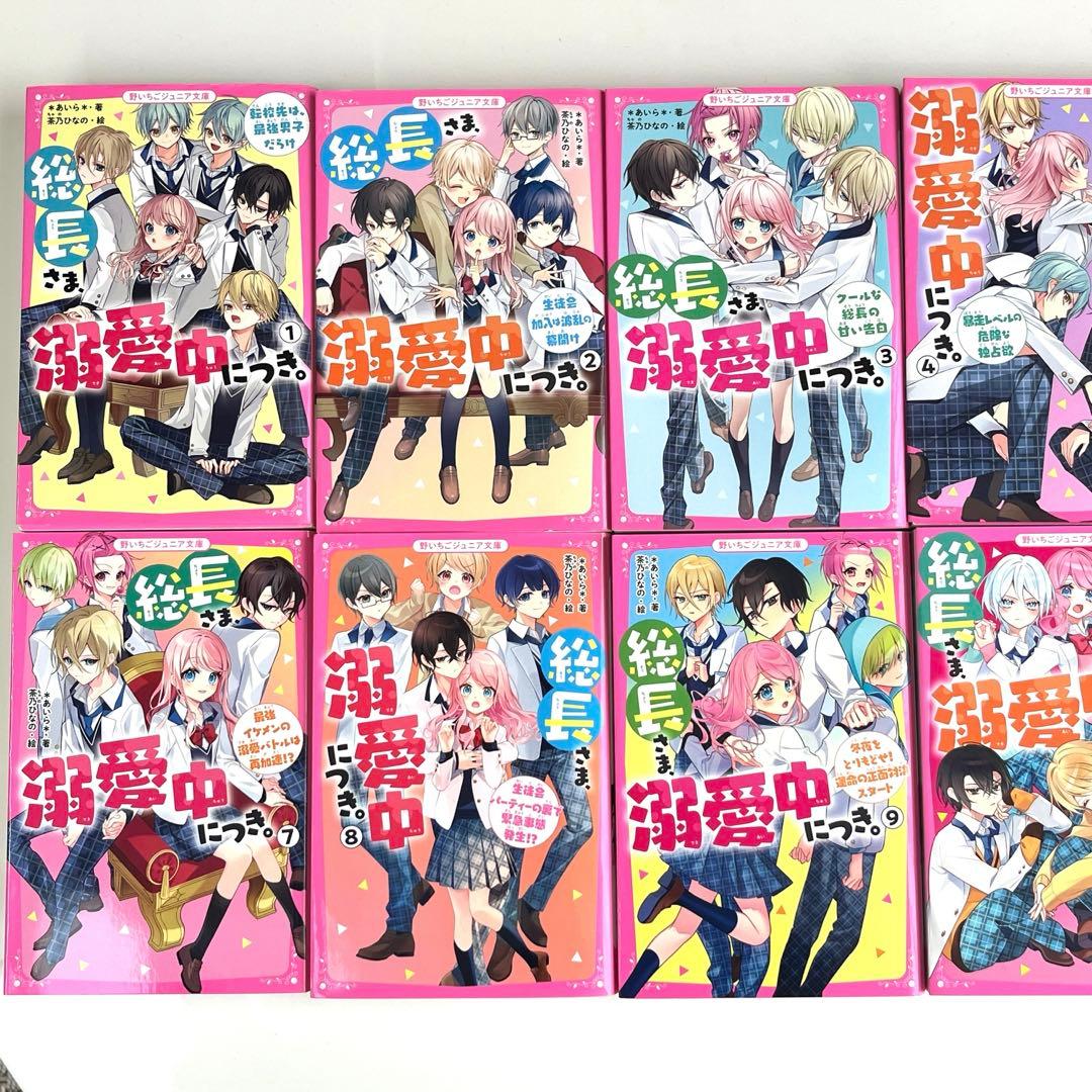 総長さま、溺愛中につき。1〜12巻セット 小説 茶乃ひなの ＊あいら＊ スターツ