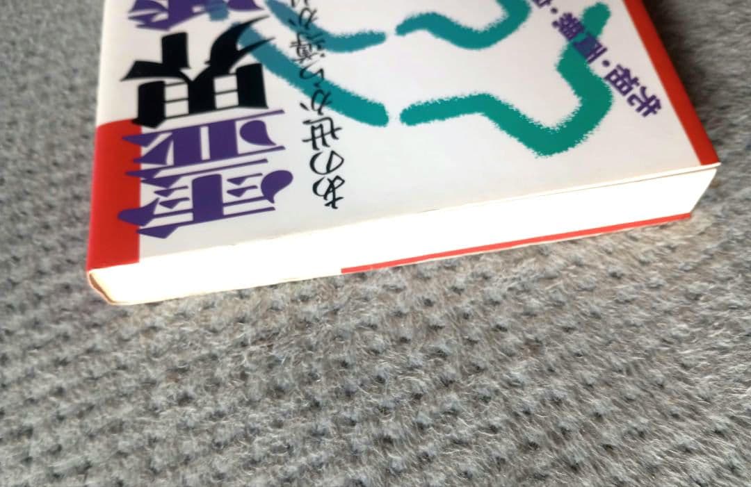 【希少】霊界透視―あの世から導かれる幸福への道