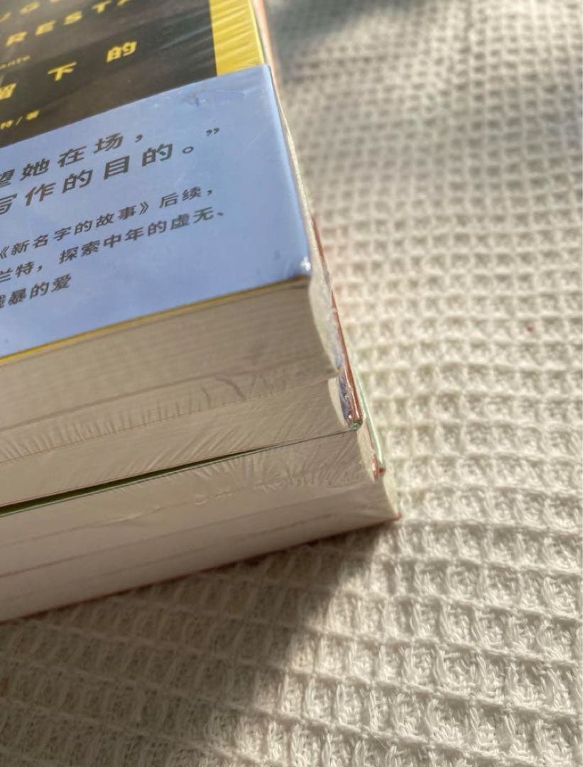 那不勒斯四部曲 中国語未開封 埃莱娜费兰特