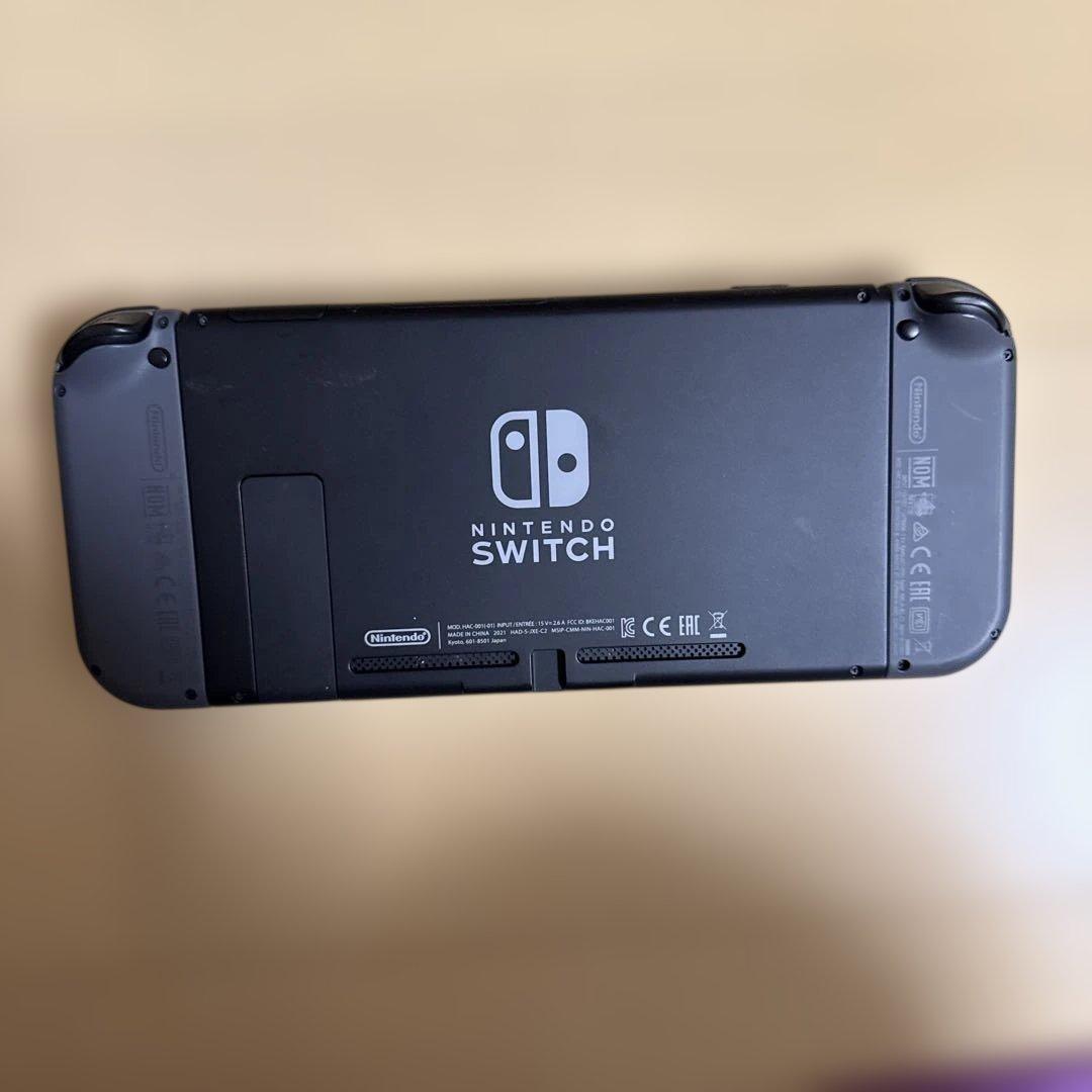 Nintendo Switch 本体 充電器 キャリーケース付き
