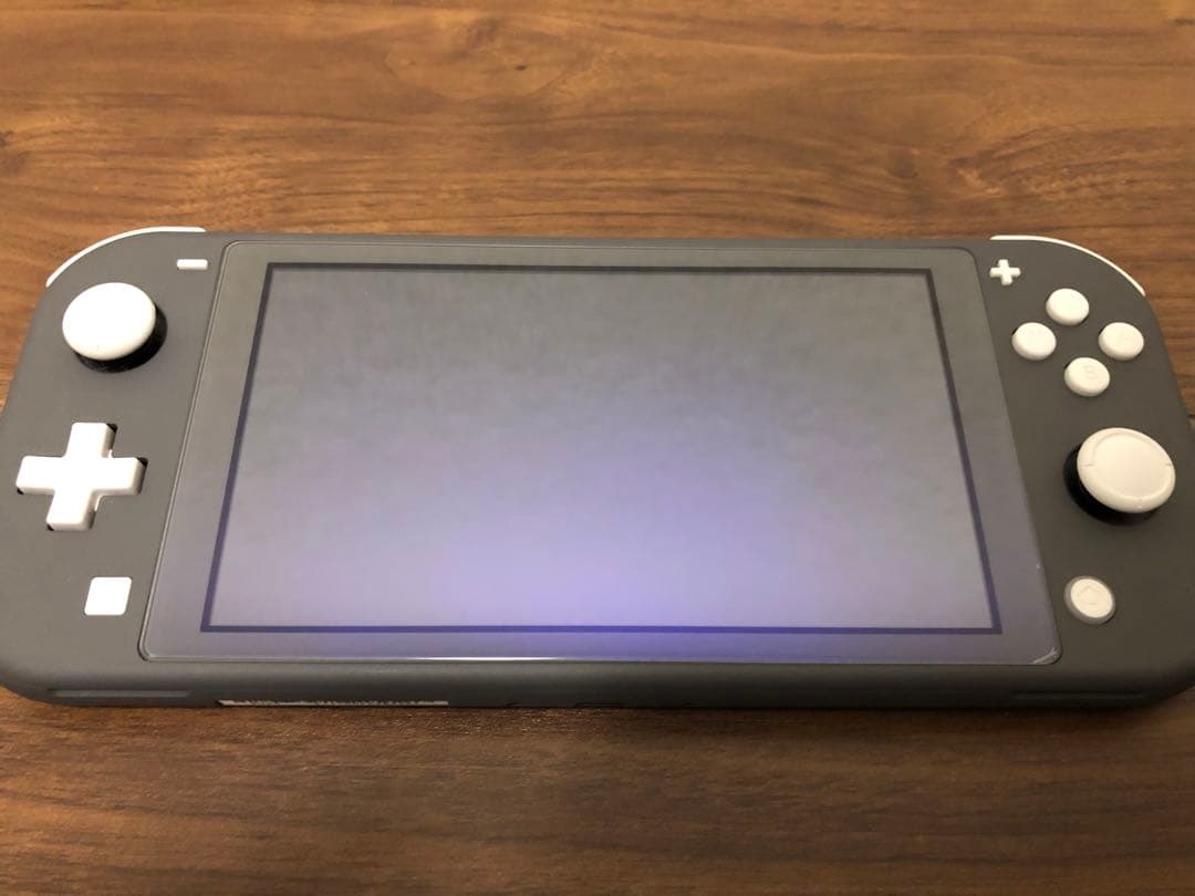 【美品】2024年式Nintendo Switch Lite&あつ森+ペンケース