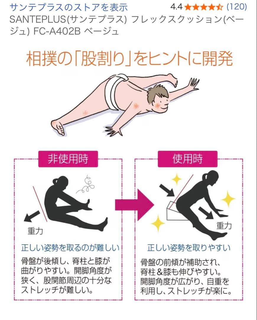 M*i様 サンテプラス：フレックスクッション　Flexcushionベージュ