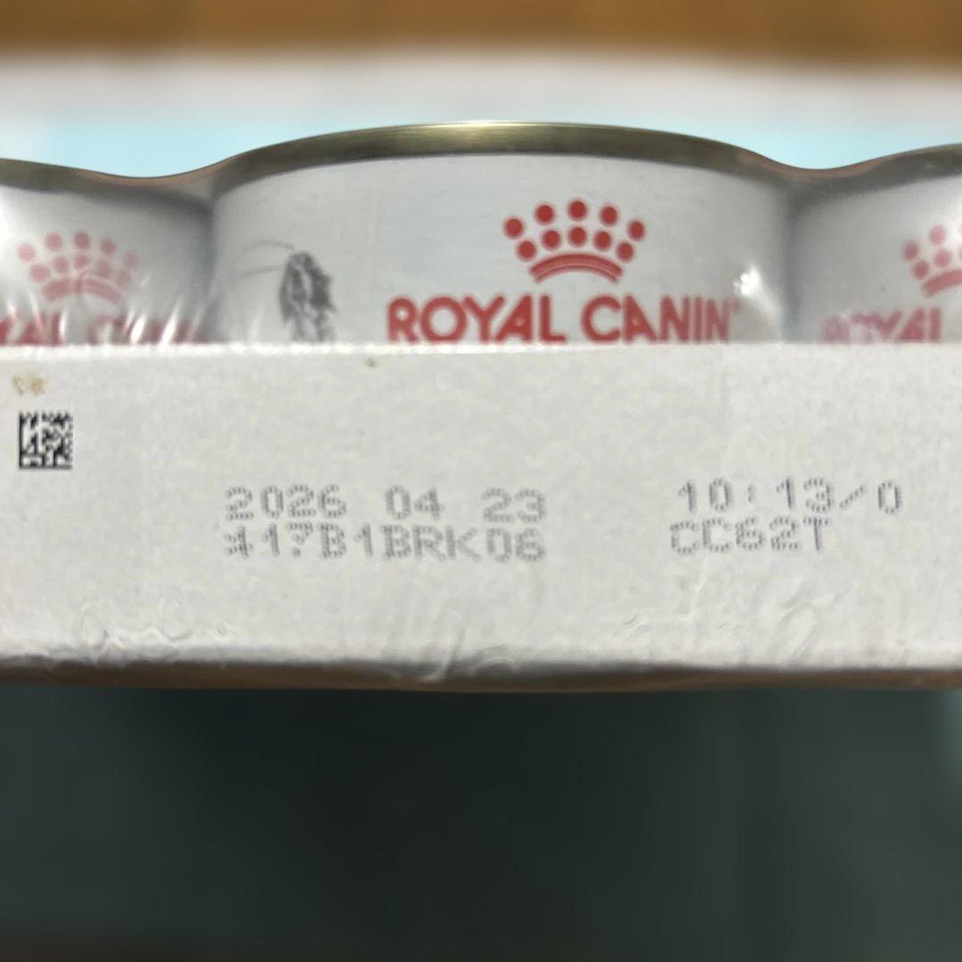  CANIN 腎臓サポート 12缶入り