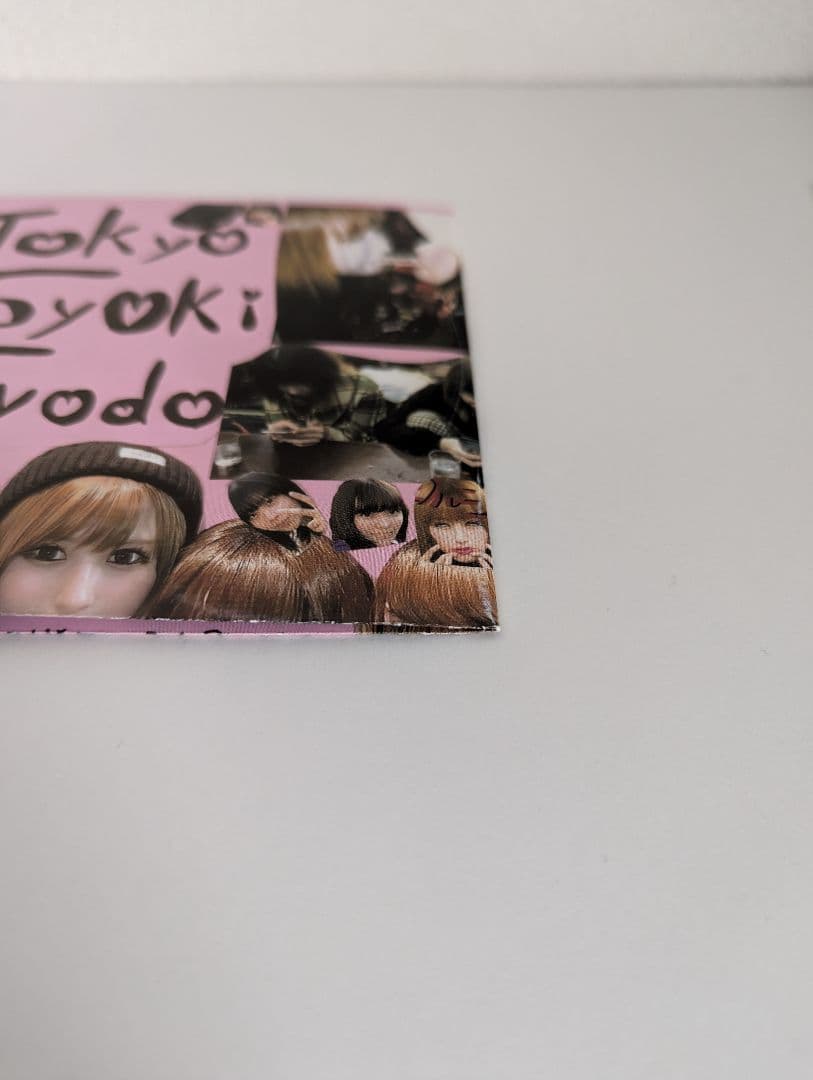 東京初期衝動 / ヴァージン・スーサイズ / サイン入りCD
