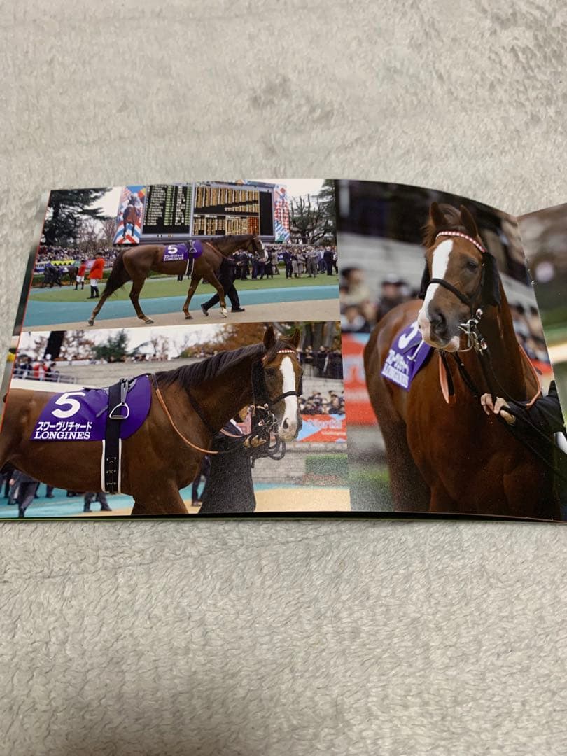 ジャパンカップ　スワーヴリチャード　2019年　優勝記念品　非売品　関係者限定品