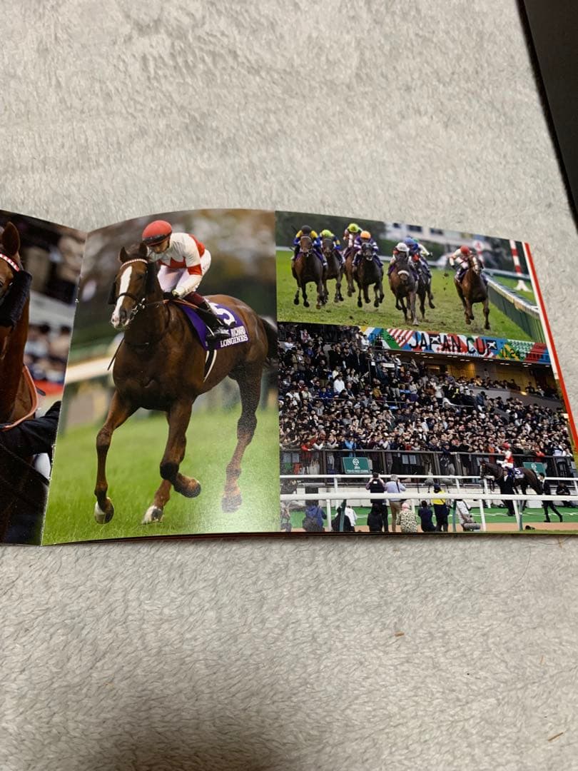 ジャパンカップ　スワーヴリチャード　2019年　優勝記念品　非売品　関係者限定品