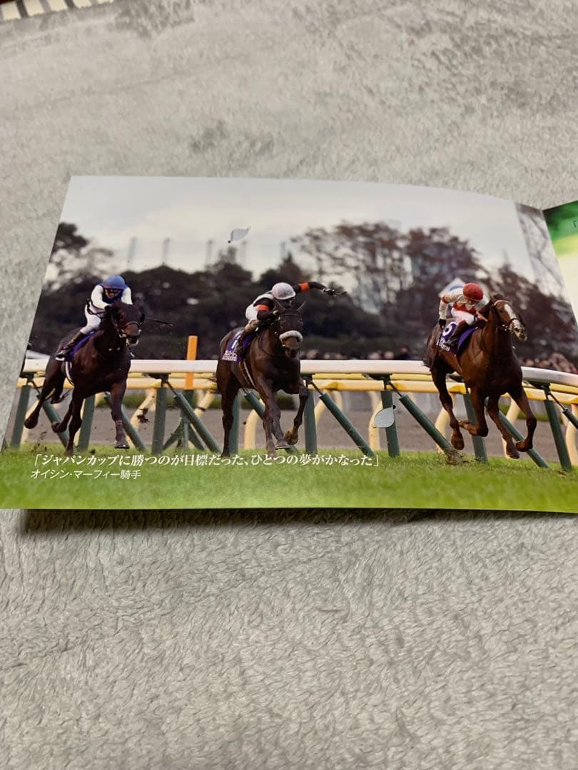 ジャパンカップ　スワーヴリチャード　2019年　優勝記念品　非売品　関係者限定品