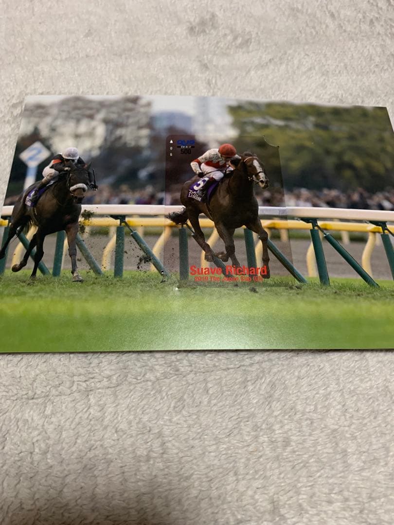 ジャパンカップ　スワーヴリチャード　2019年　優勝記念品　非売品　関係者限定品
