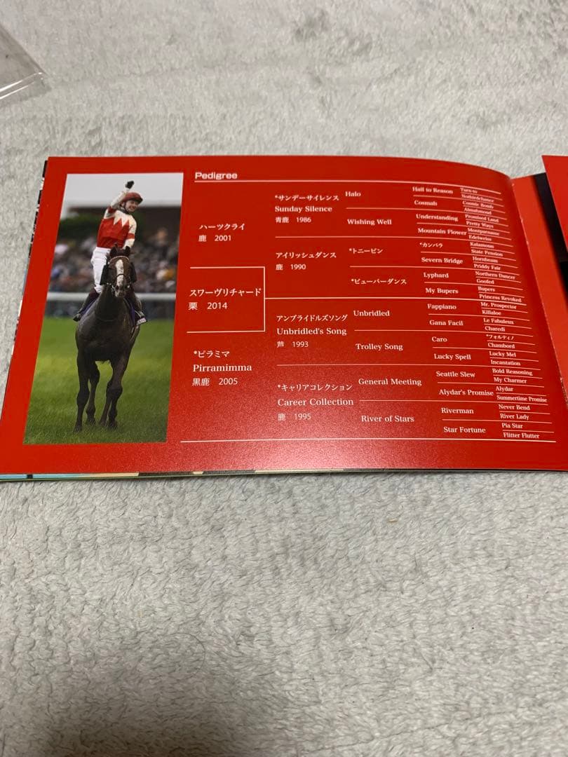 ジャパンカップ　スワーヴリチャード　2019年　優勝記念品　非売品　関係者限定品