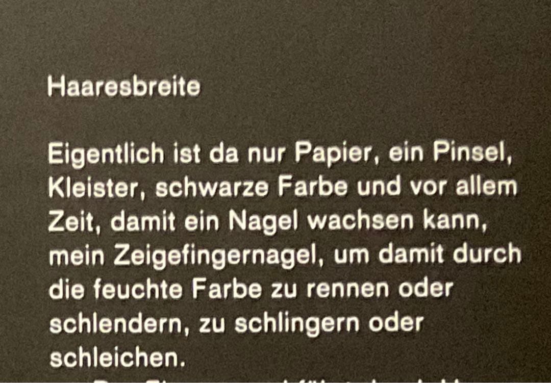 値下げ　Haaresbreite / Nanne Meyer 作品集