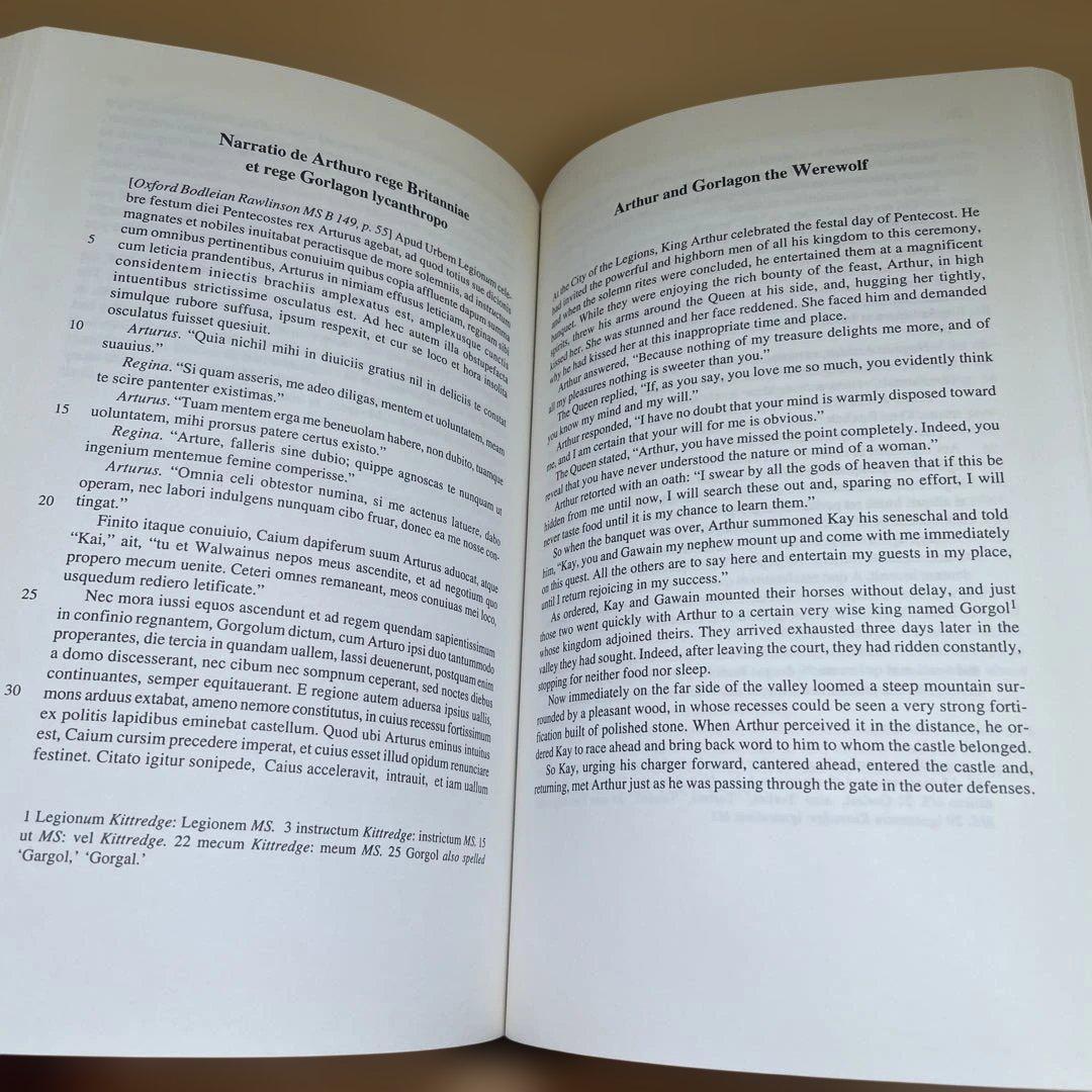 アーサー王物語　洋書　Latin Arthurian Literature