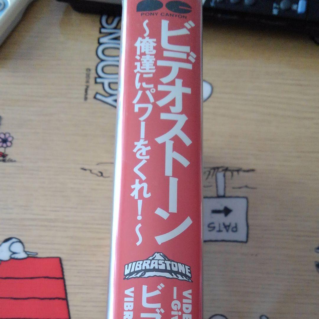 ピデオストーン　ビブラストーン