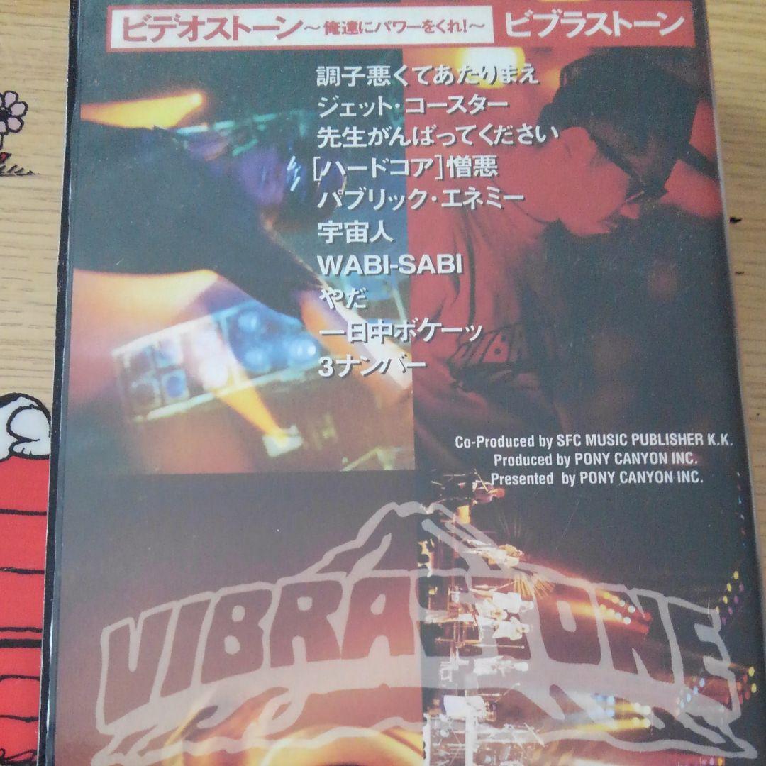 ピデオストーン　ビブラストーン