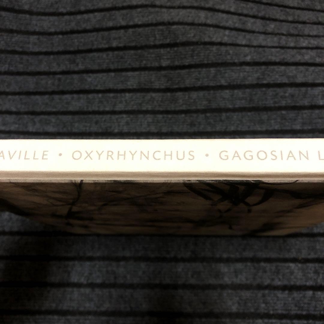 洋書　ジェニー・サヴィル JENNY SAVILLE・OXYRHYNCHUS
