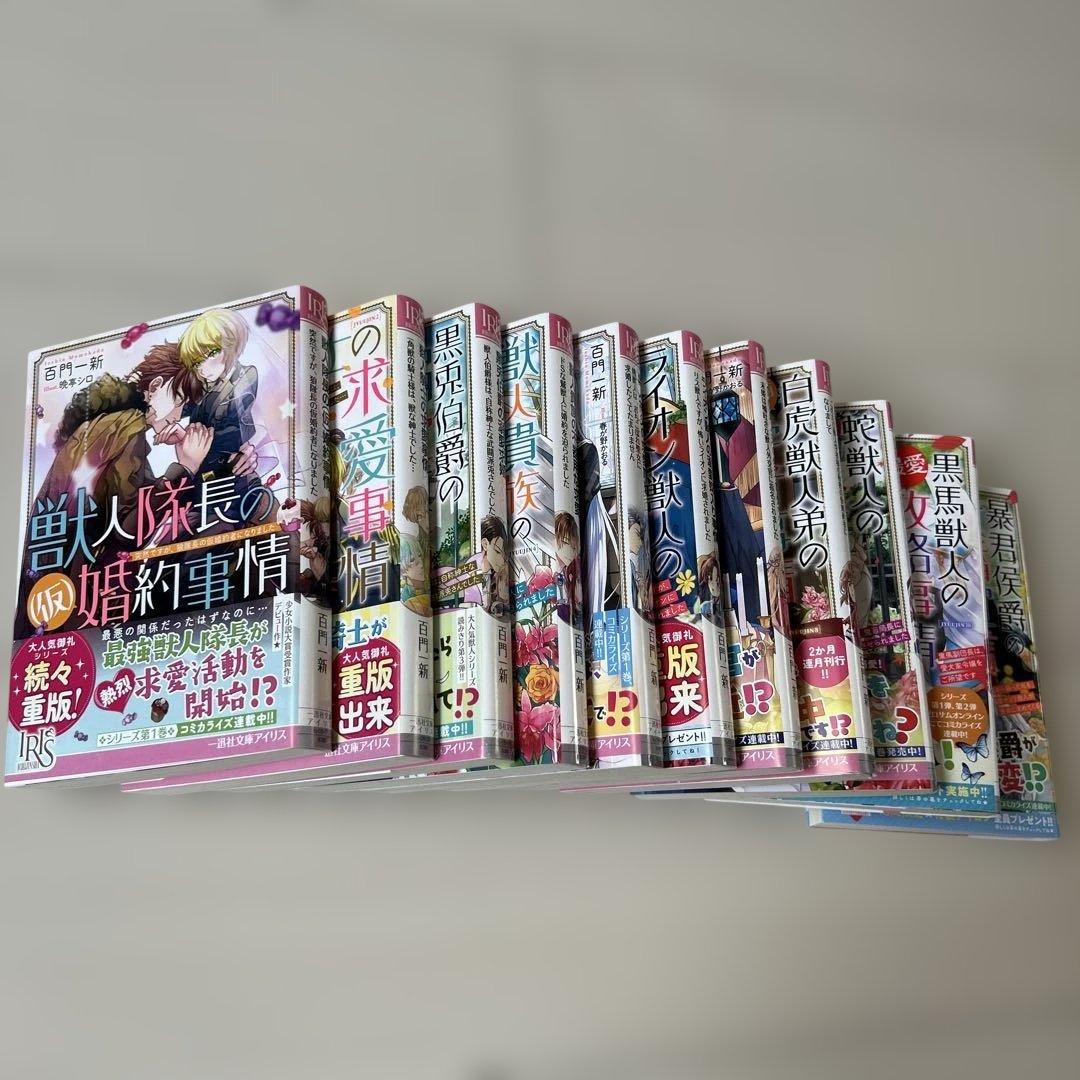 【美品】獣人隊長の(仮)婚約事情 突然ですが、狼隊長の仮婚約者になりました全11