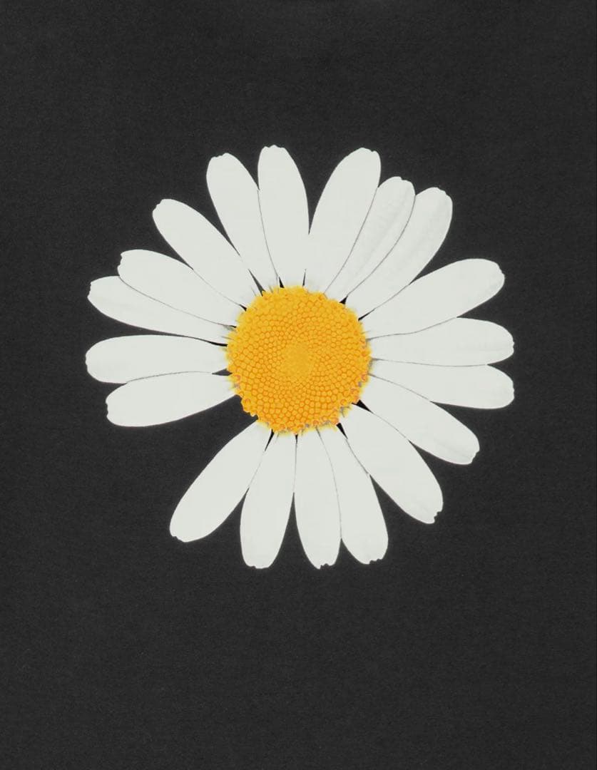 トップス PEACEMINUSONE X HYPEBEAST20TH T-SHIRT