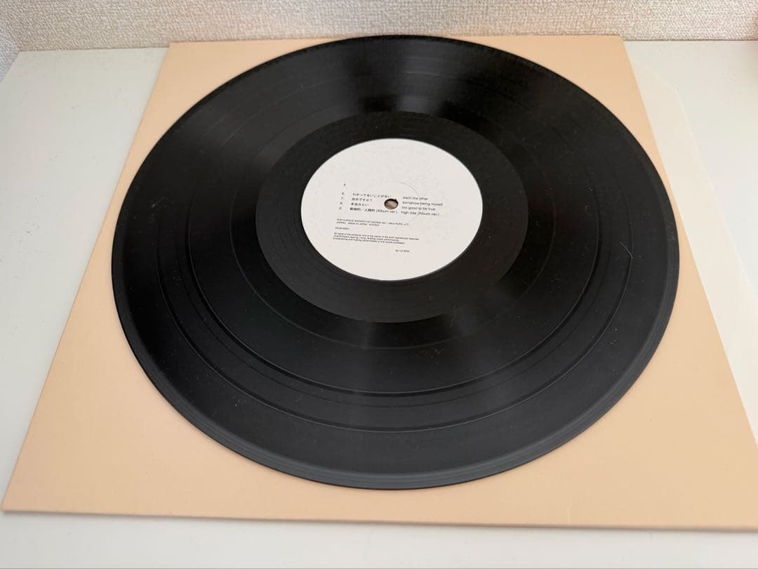 ogre you asshole 新しい人 レコード 廃盤LP