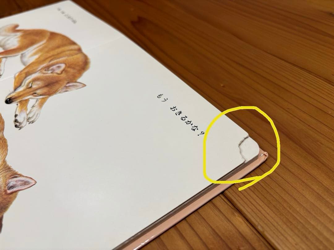福音館書店 絵本セット こどものとも 等 55冊セット 記名無し