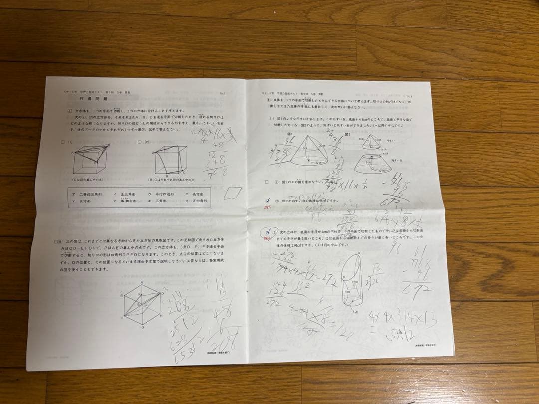 日能研学習力育成テスト　5年　6年　2024年