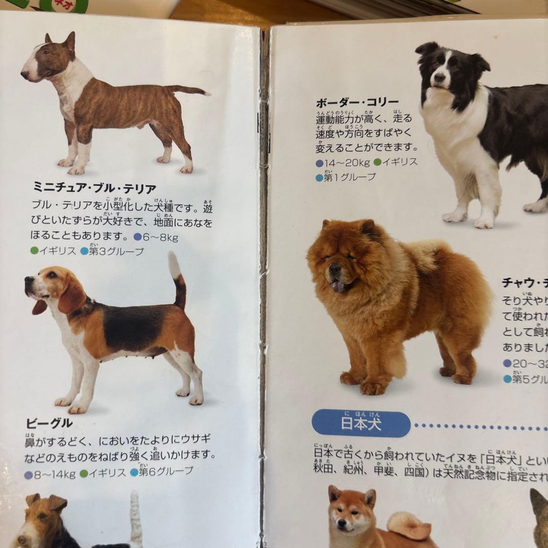 小学校の図鑑 NEO 8冊セット