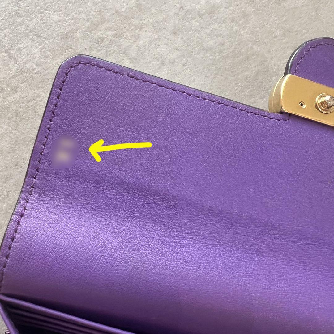 GUCCI グッチ　インターロッキングG　パイソン