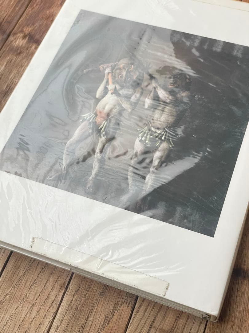 希少Irving Penn A Notebook at Random 写真集