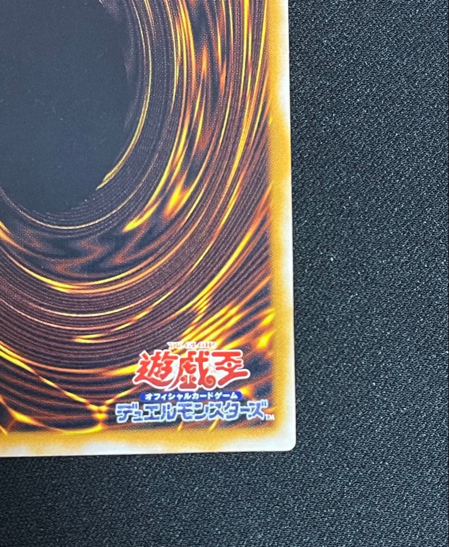 ヒグマ