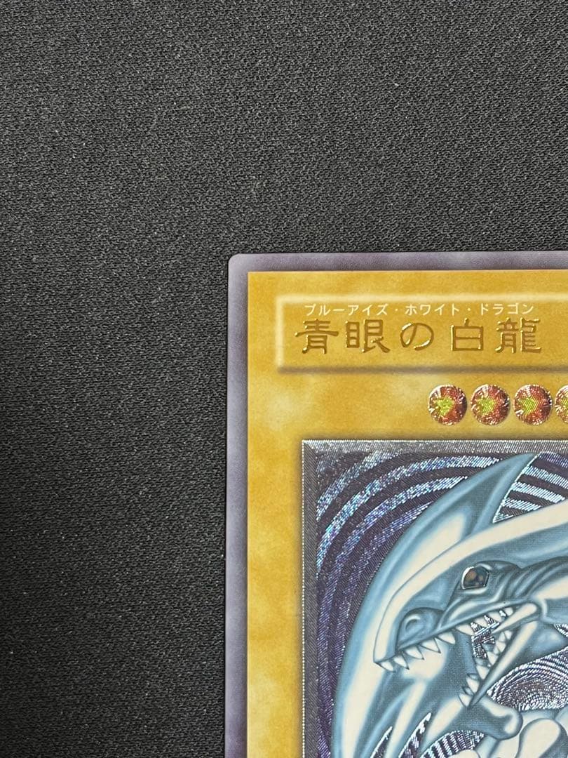 ヒグマ