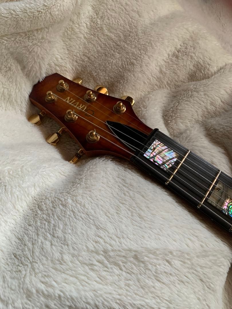 carvin CS6 ジョーウォルシュ　モデル