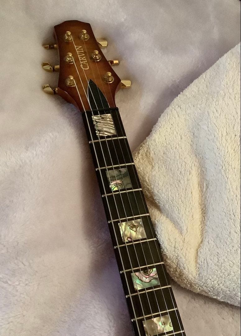 carvin CS6 ジョーウォルシュ　モデル