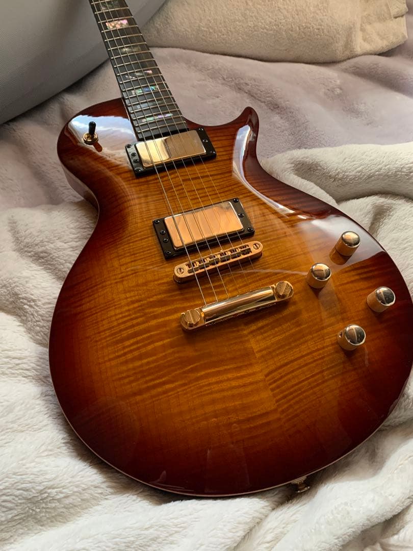 carvin CS6 ジョーウォルシュ　モデル