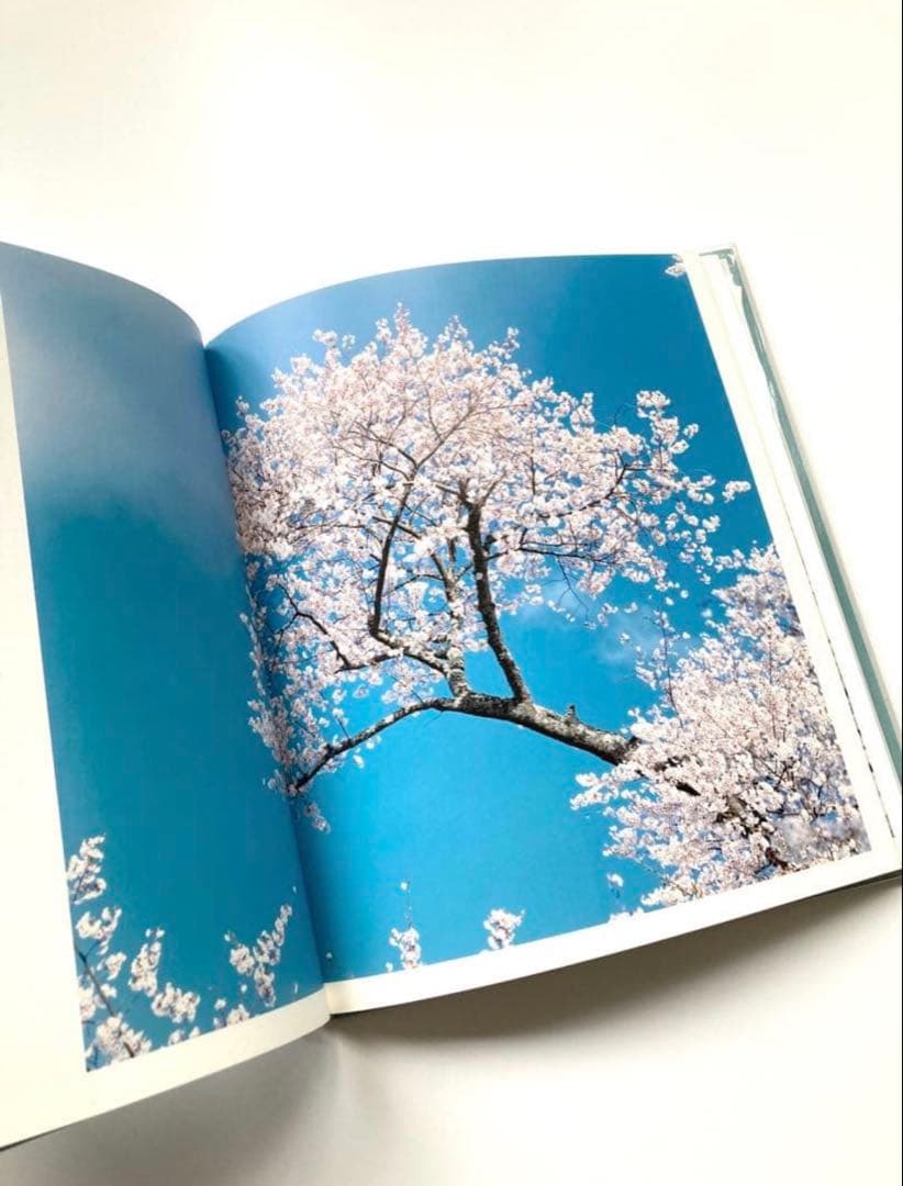 鈴木理策　写真集「HYSTERIC EIGHT 」 吉野山　桜　風景　青空　花