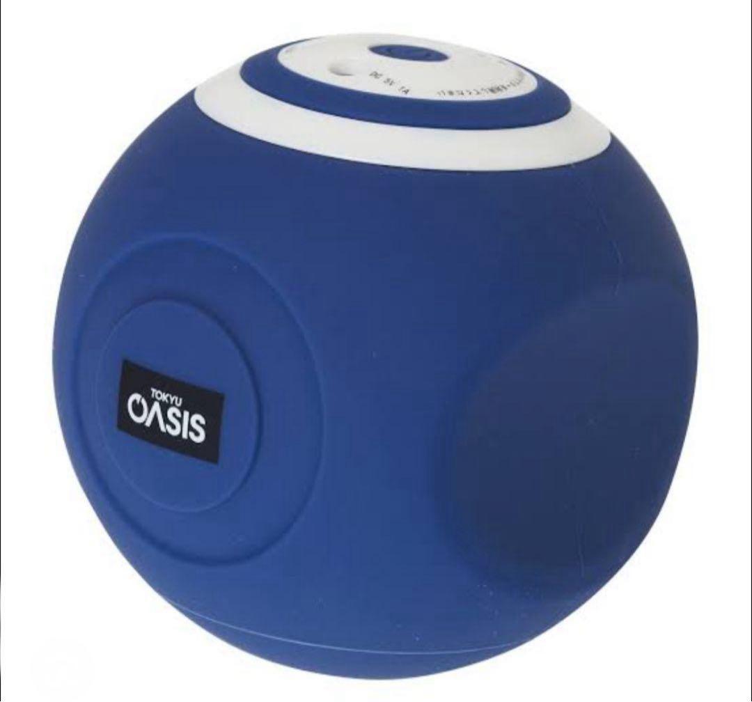【新品未使用】OASIS フィットネスクラブがつくったスタイリーボール