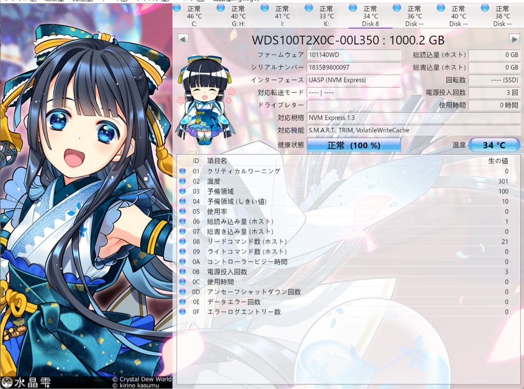 WD SN700 1TB NVMe M.2 SSD◆使用0時間◆健康状態100%