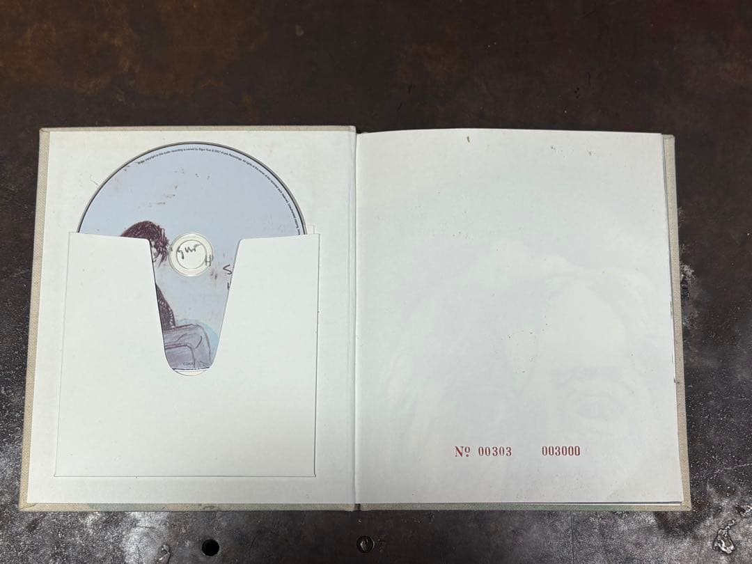 Sigur ros Hlemmur シガーロスリミテッド版 CD DVD