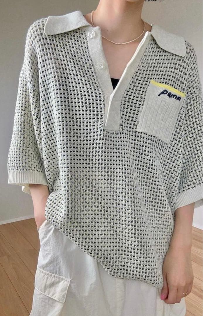【美品】pamm 後ろ姿の寛大なインテリアメッシュポロ ポロシャツ ニット 半袖