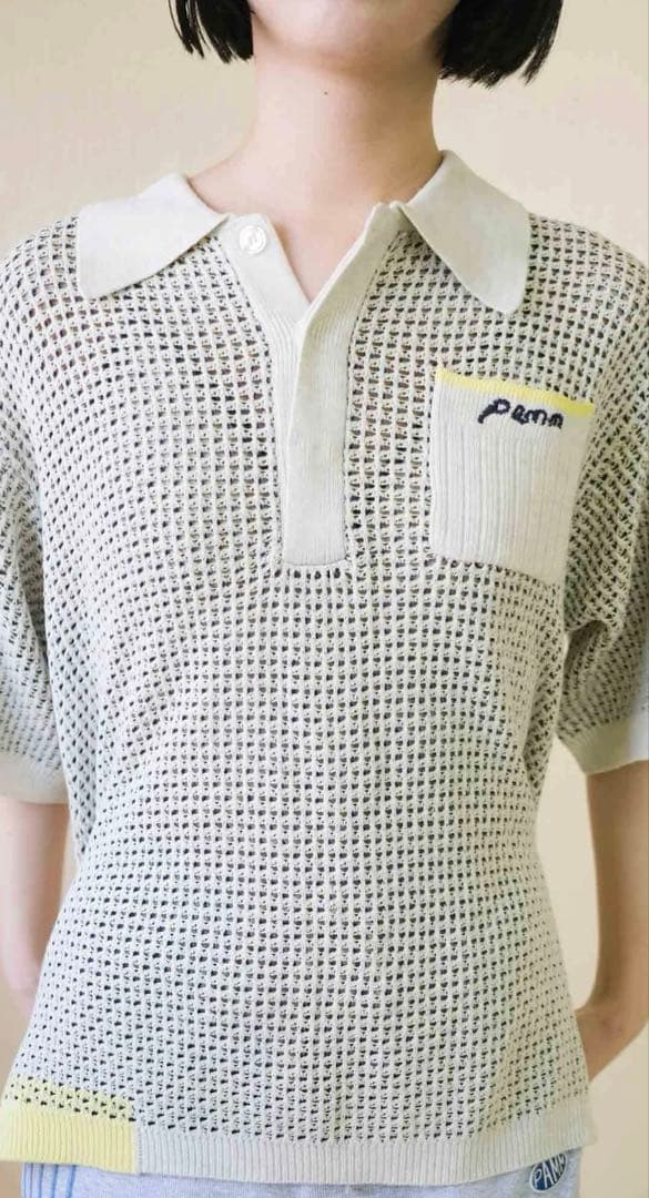 【美品】pamm 後ろ姿の寛大なインテリアメッシュポロ ポロシャツ ニット 半袖
