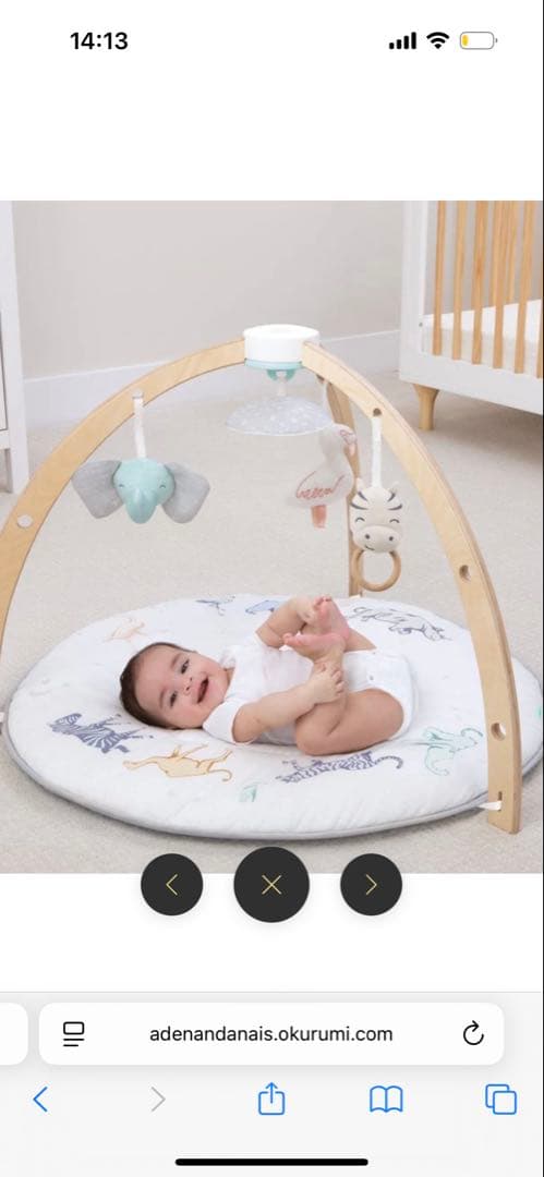 Aden+Anais ベビージム(新品、未開封)