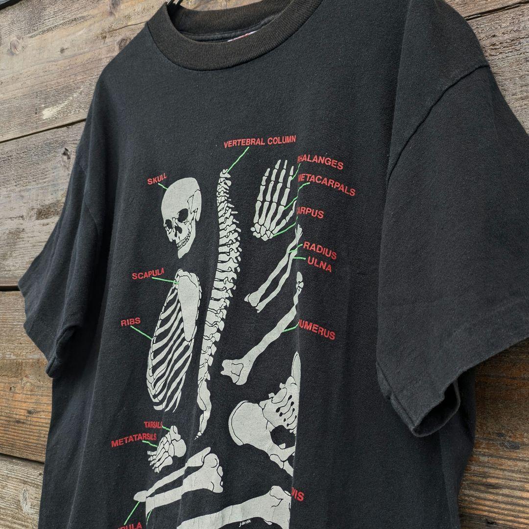 90s　USA製　Tシャツ　人骨　骨格標本　アートプリント　シングルステッチ　L