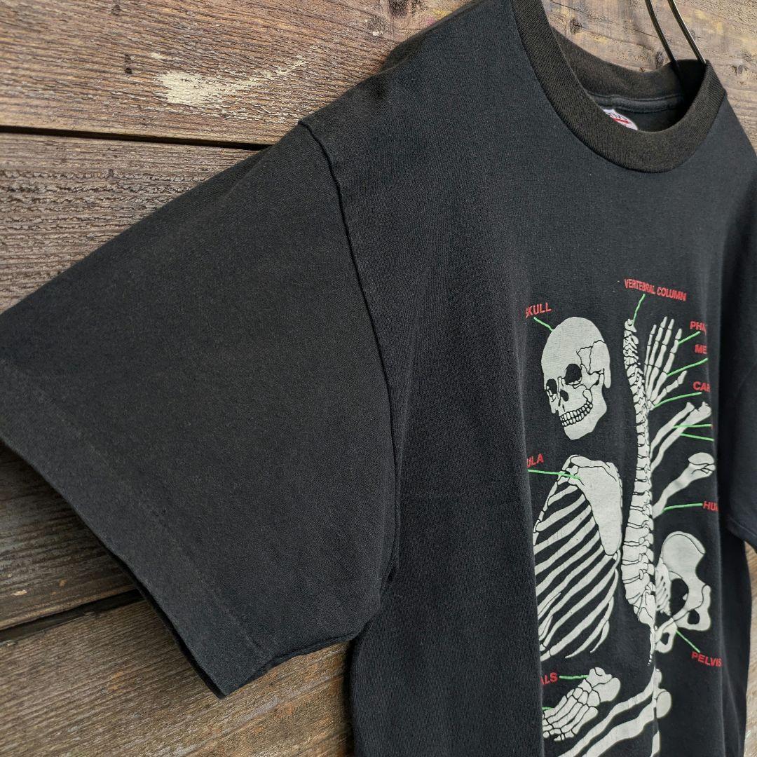 90s　USA製　Tシャツ　人骨　骨格標本　アートプリント　シングルステッチ　L