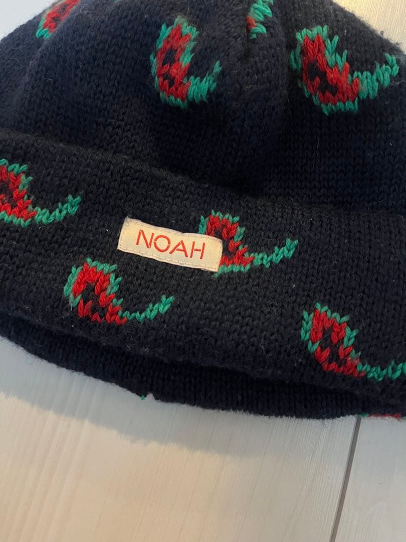 NOAH ペイズリー　ニット帽