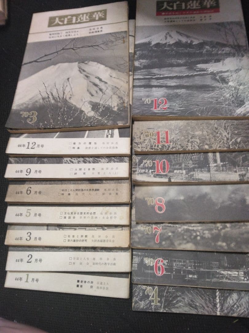 大白蓮華 40年～45年 各号