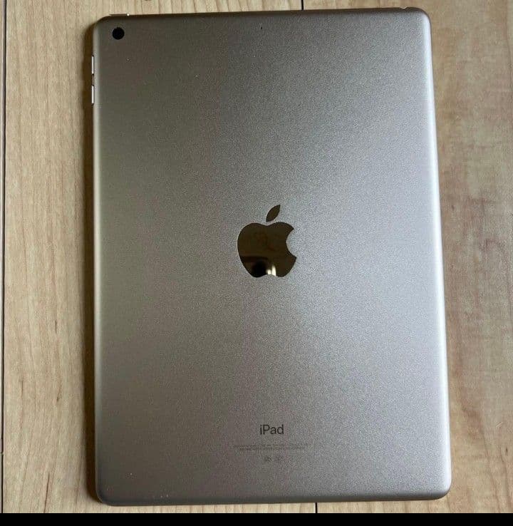 iPad 第5世代 128GB Wi-Fiモデル 動作良好 即使用可