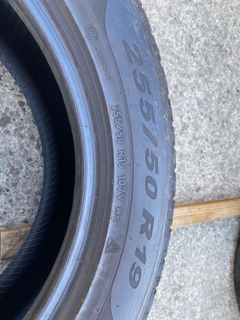PIRELLI SCORPION 255/50/19 2本セット2021年製