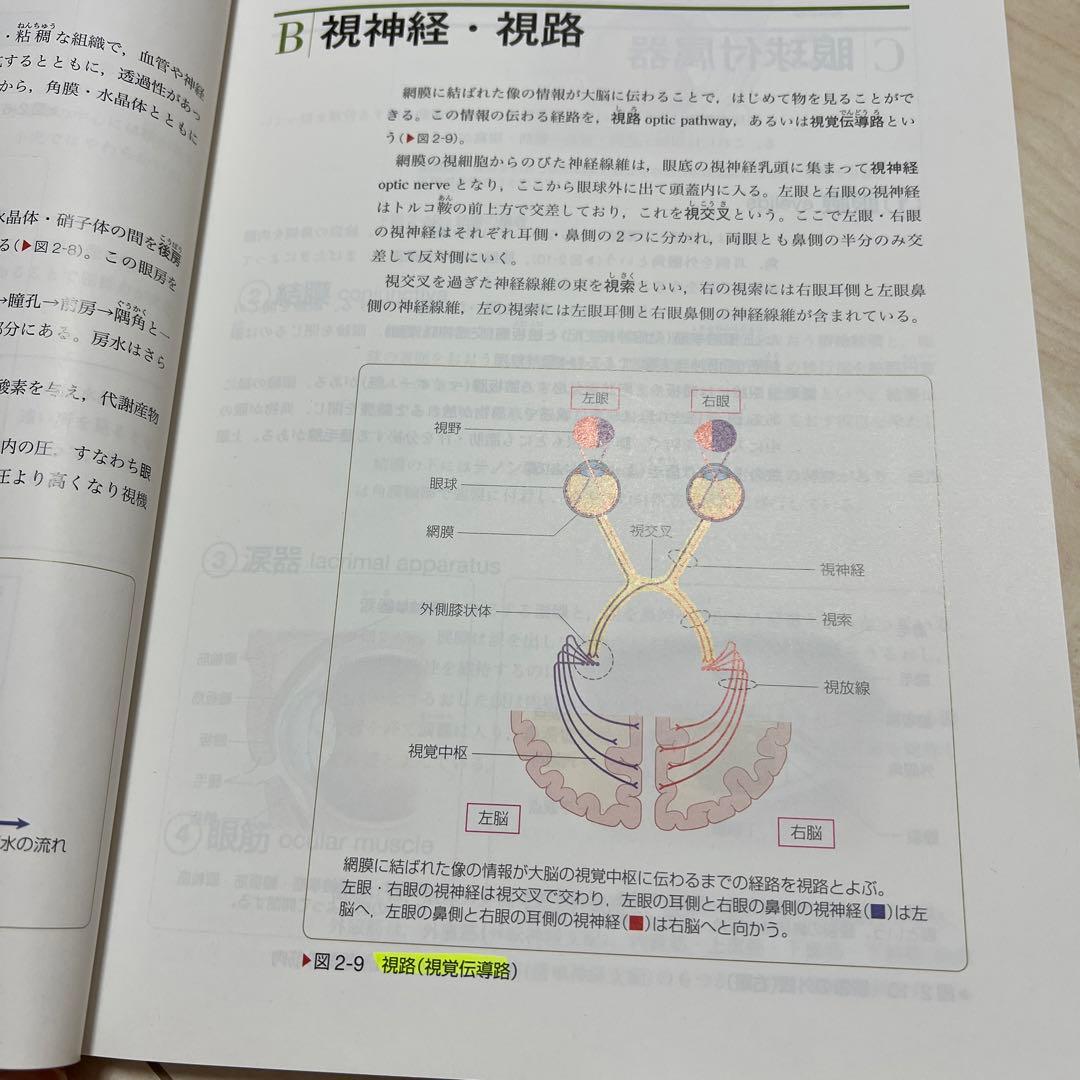医療看護系参考書