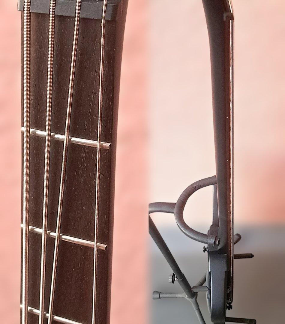 ■Epiphone Goth Thunderbird IV 美品 サンダーバード