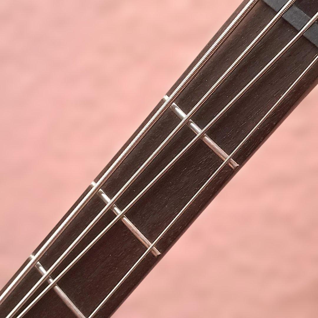 ■Epiphone Goth Thunderbird IV 美品 サンダーバード