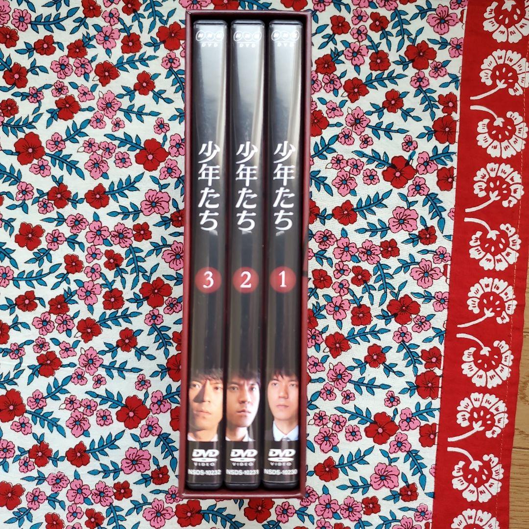 少年たち DVD-BOX〈3枚組〉