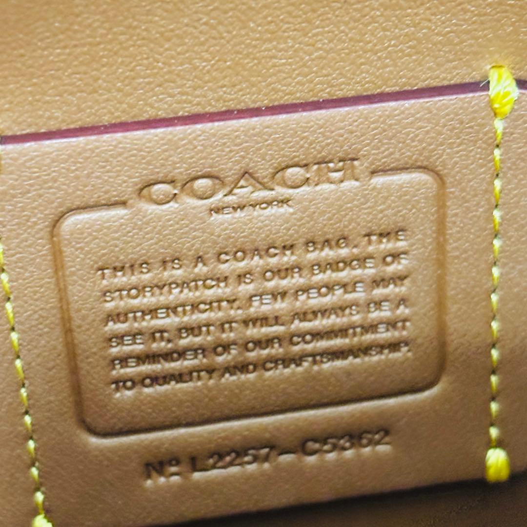 COACH C5362 ヘイデン シグネチャー ショルダーウォレット バッグ
