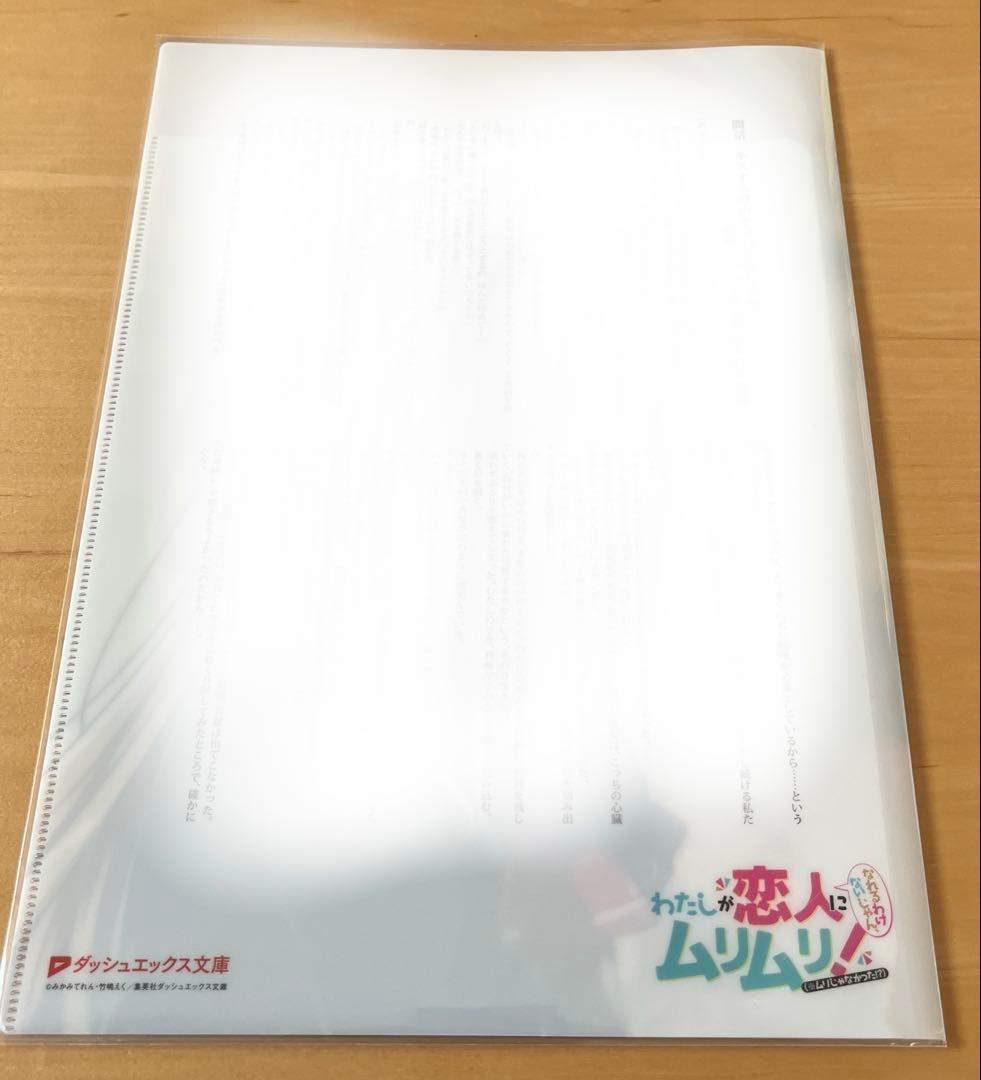 わたしが恋人になれるわけないじゃん　わたなれ　1巻アニメイト有償特典両面ファイル